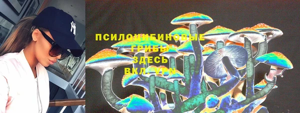 амфетамин Алексин